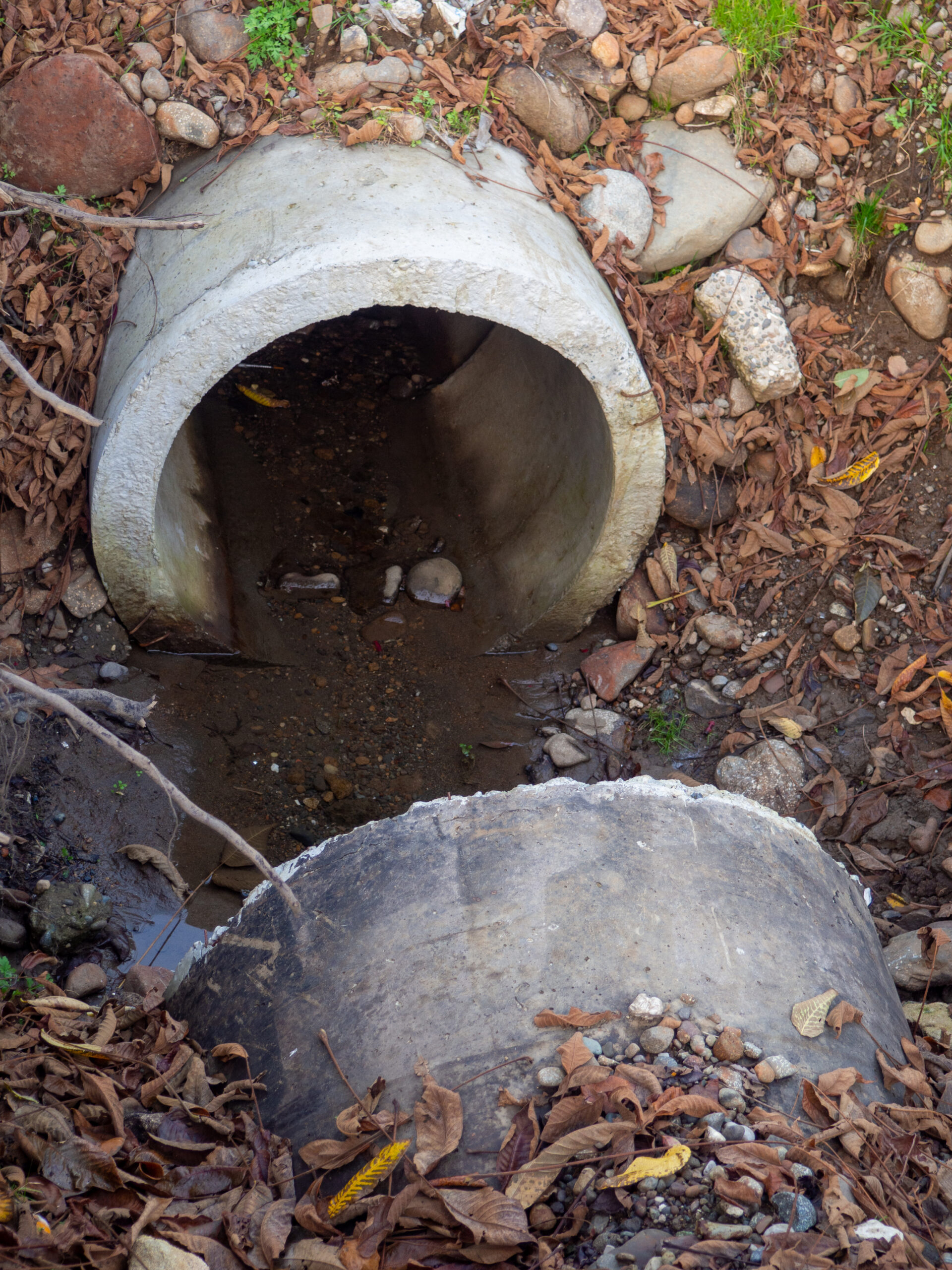 DCI Drainage
